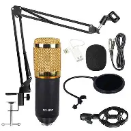 Professional Condenser Mic